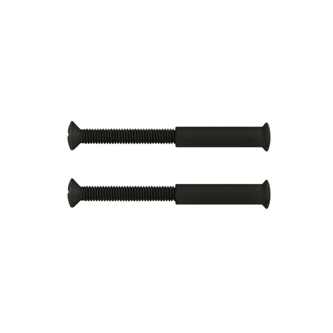 Lot de 2 vis acier patiné, L.4.5 x l.0.7 x H.0.7 cm