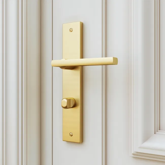 2 poignées sur plaque à condamnation Lee aluminium laiton mat, entraxe 195 mm