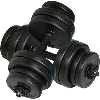 vidaXL Haltères 2 x 15 kg