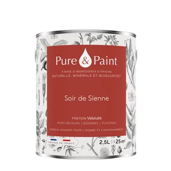 Peinture mur et plafond soir de sienne velours PURE & PAINT , 2.5l